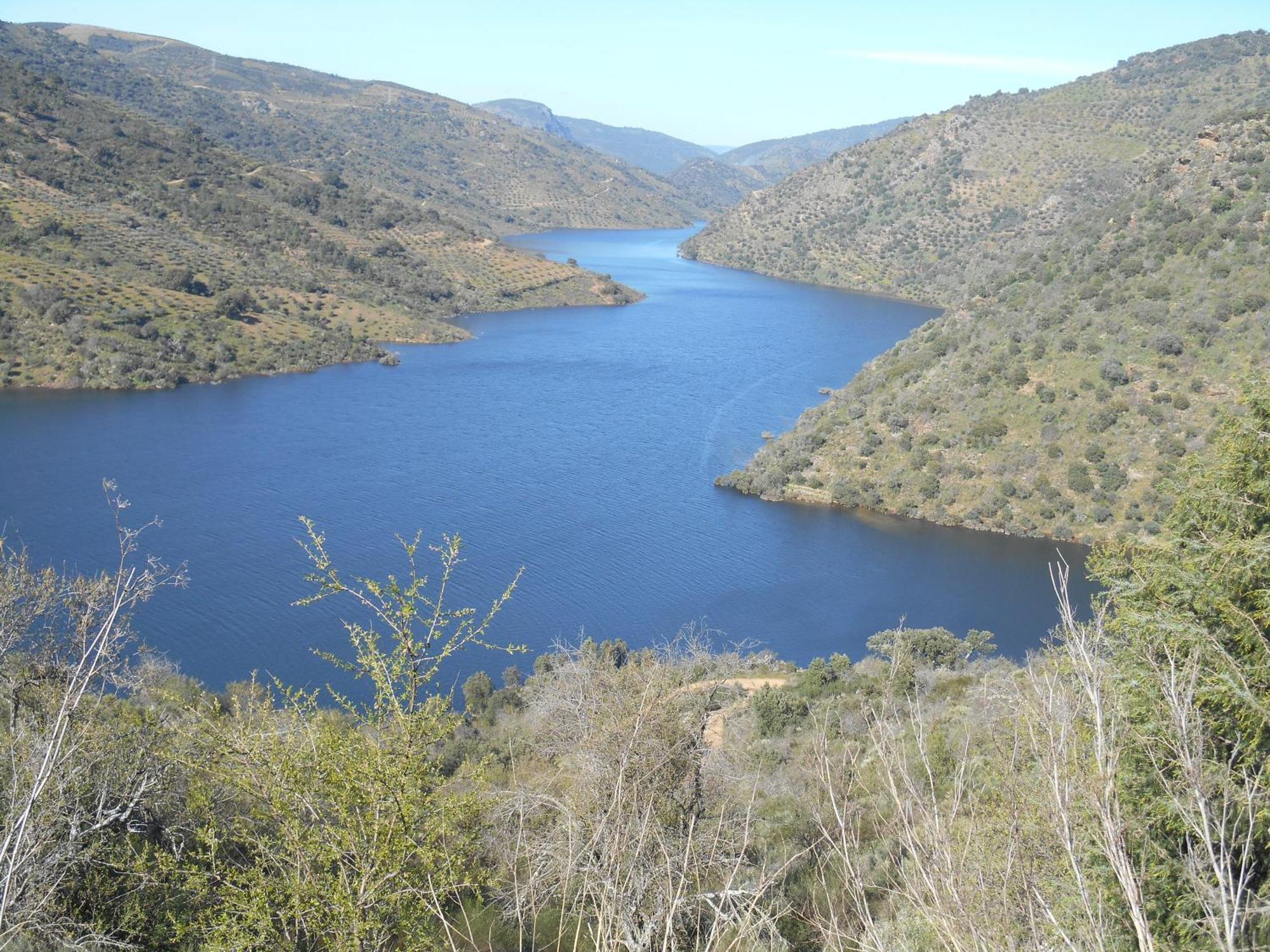 Вилла Casa Do Souto Quinta do Souto Экстерьер фото
